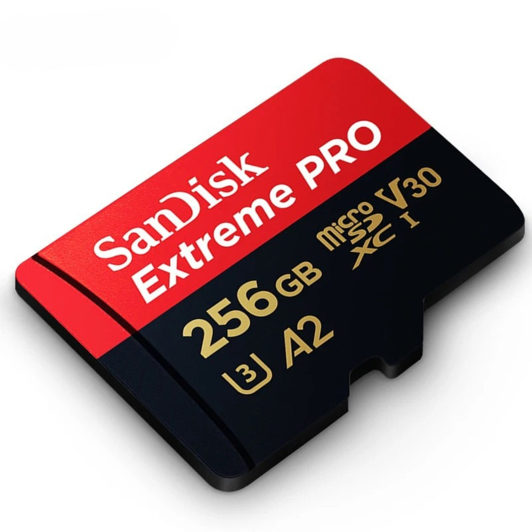 Scheda SD 256GB 100.000 Giochi